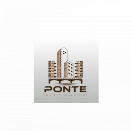 Ponte Project Management LLC