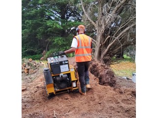 Stump Removal in Hoppers Crossing