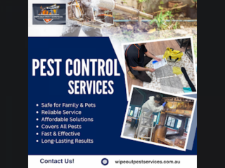 Wipeout Pest Services – Trusted Pest Control Experts in Maudsland, Gold Coast