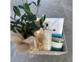 gardenia-gift-box-small-0