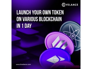 Launch Your Crypto Token in Just 1 Day at an Affordable Cost