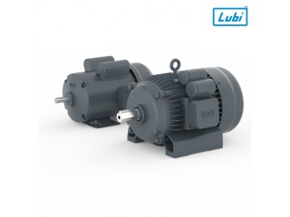 Single Phase Induction Motors Manufacturer in India