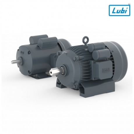 single-phase-induction-motors-manufacturer-in-india-big-0
