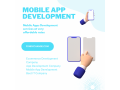 mobile-app-development-small-0