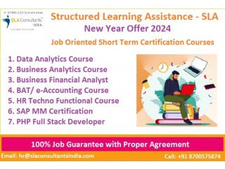 Accounting Institute in Delhi, SLA Courses, Malviya Nagar, GST and SAP FICO Training Certification Gurgaon, [100% Job, Update New Skill in 2024]