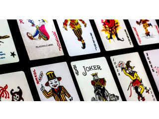 Allpaanel Mahadev Book