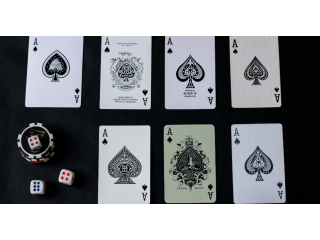 Allpaanel Com Mahadev Book