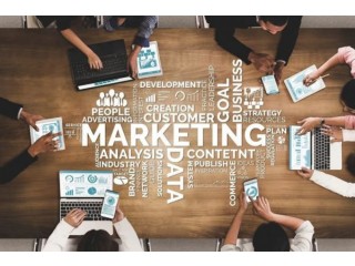 Bristol Marketing Consultancy – Artsanac LTD