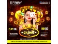 unlocking-the-secrets-of-reddy-anna-book-your-ultimate-guide-to-cricket-id-management-small-0