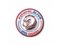 survivalstayingalive-small-0