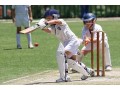 join-the-sports-revolution-why-reddy-anna-whatsapp-number-is-a-game-changer-small-0