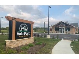 Outdoor Business Sign Ideas for Local Success