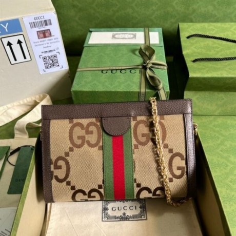 gucci-ophidia-gg-small-shoulder-bag-reps-big-2