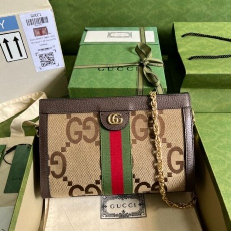 gucci-ophidia-gg-small-shoulder-bag-reps-big-3