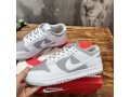 nike-sb-dunk-low-retro-white-grey-small-2