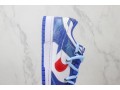 nike-sb-dunk-low-x-pepsi-small-3