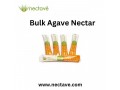 bulk-agave-nectar-small-0