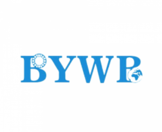 bywb-bearing-big-0