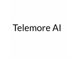 Telemore AI LLC