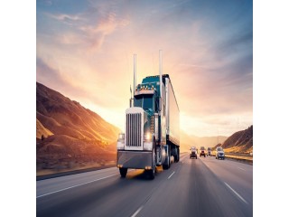 Expedited Logistics and Freight Services