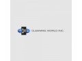 cleaning-world-inc-small-0