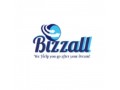 bizzall-academy-small-0