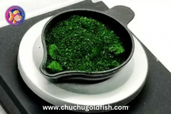 medications-for-goldfish-big-0