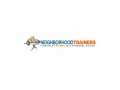 neighborhoodtrainers-small-0