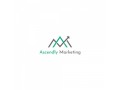 ascendly-marketing-and-website-design-small-0