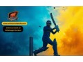 stay-updated-the-importance-of-having-an-online-cricket-id-whatsapp-number-small-0
