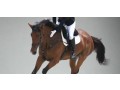 canter-cart-small-1