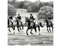 canter-cart-small-0