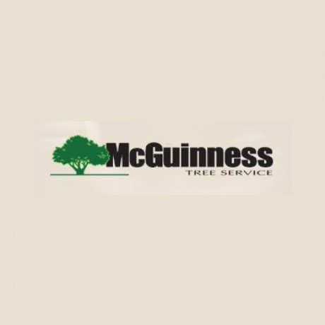mcguinness-tree-service-big-0