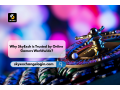 why-skyexch-is-trusted-by-online-gamers-worldwide-small-0