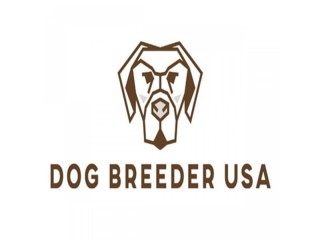 Dog Breeder USA.