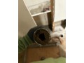 the-drain-authority-small-0