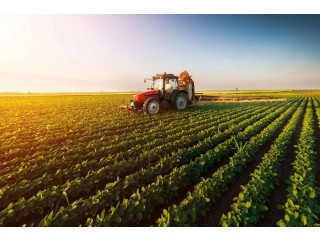 High Yield Farm Seeds Owego NY for Better Harvests