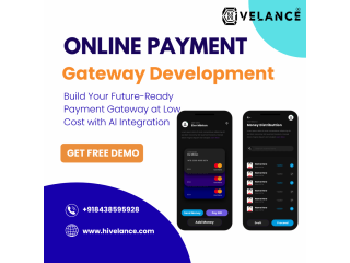 Custom Online Payment Gateway Development Solutions – Hivelance