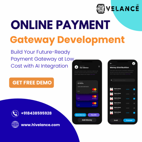 custom-online-payment-gateway-development-solutions-hivelance-big-0