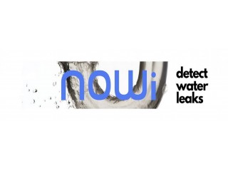 Water Leak Detection for Commercial Buildings Prevent Costly Damage with Early Leak Detection