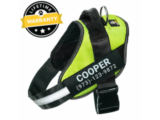 Top Non-Pull Dog Harness for Safe & Stress-Free Walks