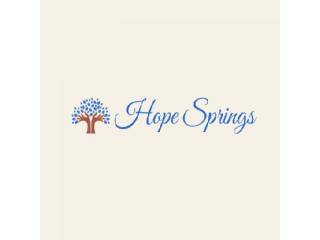 Hope Springs Psychotherapy Ladi Agahiu LCSW PLLC