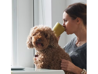 Enhancing Lives with Purpose-Driven Home Modifications