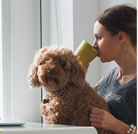 enhancing-lives-with-purpose-driven-home-modifications-big-0