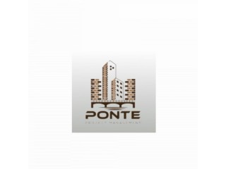 Ponte Project Management LLC