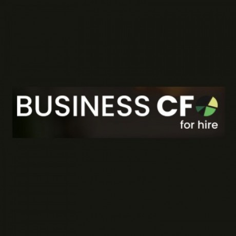 stan-alhadeff-llc-dba-business-cfo-for-hire-big-0