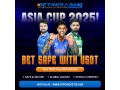 safe-cricket-betting-id-provider-in-india-for-users-small-0