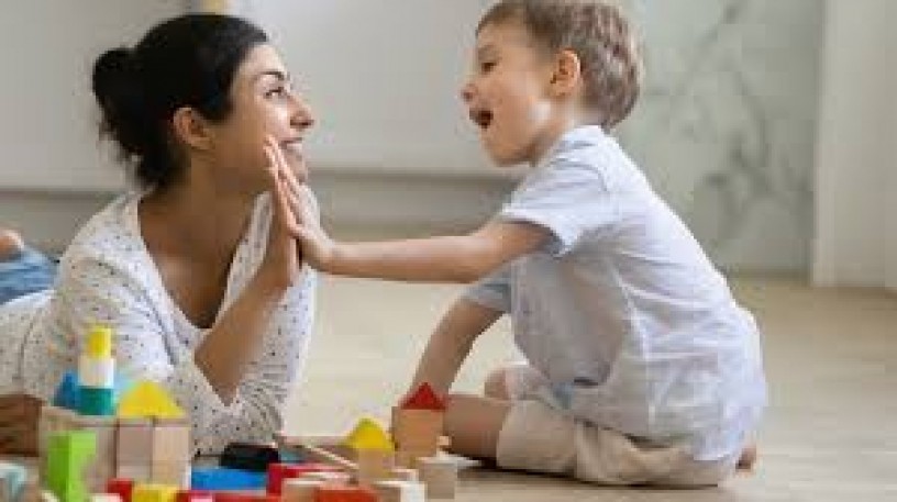 south-tampa-live-out-nannies-big-0