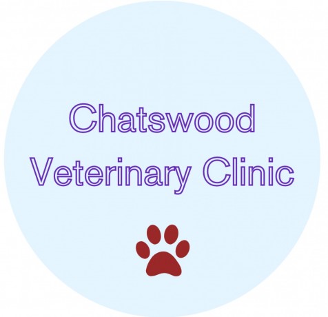 chatswood-veterinary-clinic-big-4