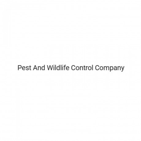 pest-and-wildlife-control-company-big-0